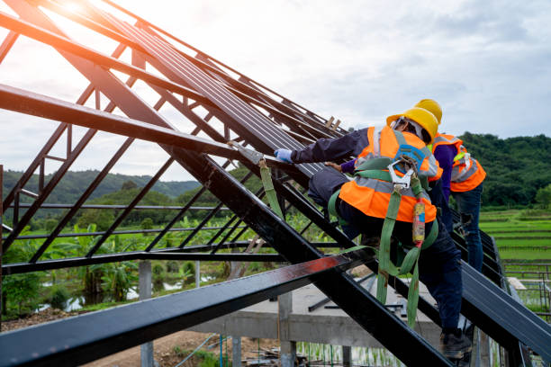 Best Residential Roof Replacement  in Circle Pines, MN