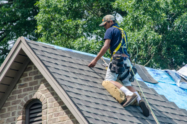 Tile Roofing Contractor in Circle Pines, MN